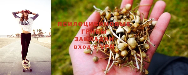 молекула духа Балахна